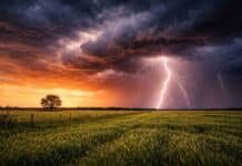 Alerta por tormentas fuertes en 12 provincias: se esperan 20 a 40 mm y granizo aislado