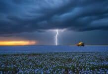 Pronóstico del tiempo para el 24, 25 y 26 de enero