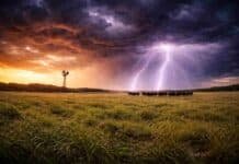 Alerta en 13 provincias por tormentas fuertes: se esperan hasta 80 mm de lluvia y ráfagas intensas