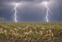 Dos alertas meteorol贸gicas por tormentas y vientos fuertes