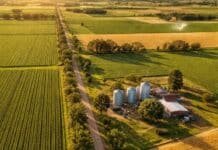 Se enfría el mercado de campos: cayó la actividad en diciembre y escasea la tierra agrícola de calidad