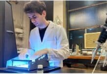 Crean un sistema para medir fosfato con el celular y podría cambiar la fertilización en el campo argentino