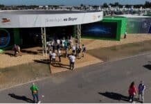 Bayer desembarca en Expoagro 2026 con maíz de baja estatura y una red de 3.000 productores en carbono