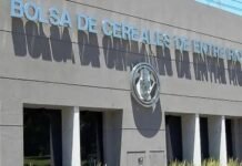 Las Bolsas de Cereales y Comercio apoyan la reforma laboral y el nuevo régimen para impulsar inversiones productivas