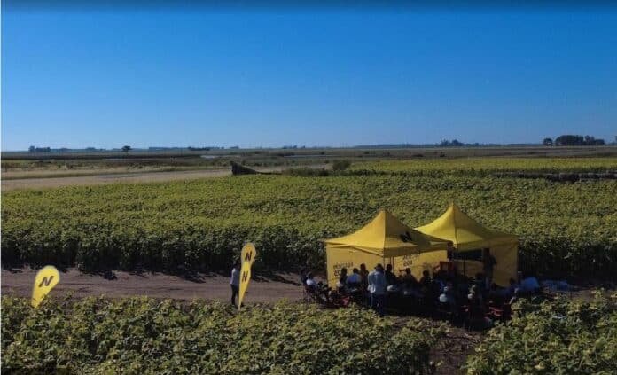 Centros de Entrenamiento Nidera