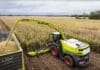 CLAAS desembarca con una picadora de hasta 1.110 HP y promete picar 500 toneladas por hora