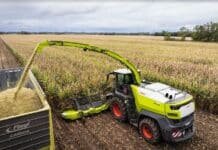 CLAAS desembarca con una picadora de hasta 1.110 HP y promete picar 500 toneladas por hora