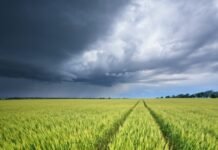 Lluvias dispares en Córdoba: enero cerró con mejores registros en el norte y el sur