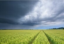 Lluvias de hasta 40–70 mm recorren Córdoba y mejoran el escenario para maíz y soja tardíos