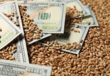 El agro ya financió casi $57.000 millones con pagaré producto: cómo funciona y cuándo conviene usarlo