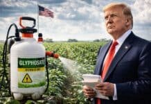 EE.UU. asegura el glifosato: Trump firma una orden para garantizar el herbicida clave para el campo