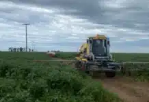 Una tormenta termina en tragedia: muere un trabajador rural electrocutado mientras trabajaba en el campo