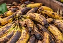 De descarte a negocio: familias salteñas transforman banana en harina sin gluten y ya reciben pedidos de otras provincias