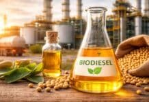 La UE pone en riesgo exportaciones por US$350 millones de biodiésel y Santa Fe sale a defender la soja argentina