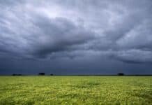 Cómo viene el tiempo para el campo: pronóstico del 26 al 28 de febrero