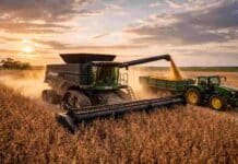 Soja 2025/26: el centro norte de Santa Fe proyecta una de las mejores campañas en más de una década