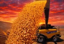 La economía dio una señal de alivio en diciembre y cerró 2025 con un promedio en alza