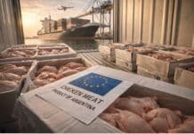 Argentina vuelve a exportar pollo a Europa desde marzo y abre un negocio que ya supera los €17 millones