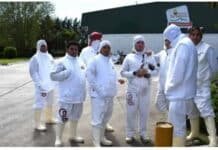 El mayor frigorífico avícola del país entra en crisis: peligran 450 empleos y alertan por cierres si no se reabren exportaciones