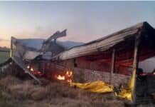 Incendio arrasa una granja y mata 500 cerdos: pérdidas totales en un establecimiento rural