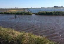 Buenos Aires activó un nuevo sistema para detectar y desactivar canales clandestinos