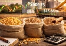 Granos: el maíz vio caer sus valores negociados en el disponible, mientras que la soja presentó valores al alza, en un escenario de subas tanto en el tipo de cambio como en la plaza internacional de referencia. El trigo sostuvo sus cotizaciones