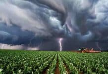 Pronóstico del tiempo para el 12, 13 y 14