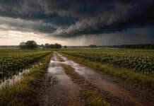 Las lluvias se concentran y reconfiguran el escenario en 11 provincias: esperan hasta 70 mm en pocas horas