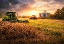 Cómo estará el clima para el campo entre el 27 de febrero y el 1 de marzo