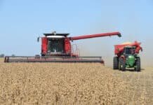El agro arrancó el año en récord: la actividad de toda la cadena alcanzó su nivel más alto histórico en enero