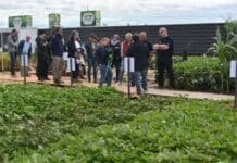 INTA desembarca en Expoagro con más de 30 cultivares, drones y tecnología para el campo