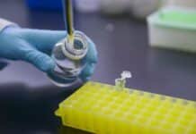 Biotecnología: el Gobierno actualizó las reglas para evaluar organismos obtenidos con nuevas técnicas de mejoramiento