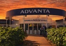 Advanta apuesta a maíz, sorgo y girasol y marca el rumbo en Expoagro Stand de Advanta en Expoagro al atardecer con cultivos en primer plano donde la empresa presenta su estrategia en maíz, sorgo y girasol