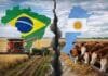 Brasil le gana al agro argentino Comparación del agro entre Brasil y Argentina con cosecha de granos y producción ganadera, mostrando la brecha productiva entre ambos países