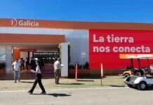 Banco Galicia activó créditos para maquinaria y ganadería en Expoagro 2026 y apuntó a reactivar inversiones Banco Galicia, Expoagro 2026, financiamiento agro, créditos rurales, maquinaria agrícola, ganadería argentina, inversión en el campo, Nera Galicia, digitalización agro, agronegocios Argentina