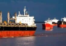 China compra US$ 9.700 millones y el agro explica casi todo el récord exportador argentino