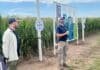 Bayer activa el vínculo con la ciencia y acelera la innovación en el agro desde Pergamino Jornada a campo de Bayer en Pergamino con técnicos explicando ensayos en cultivo de maíz durante un encuentro de innovación agrícola