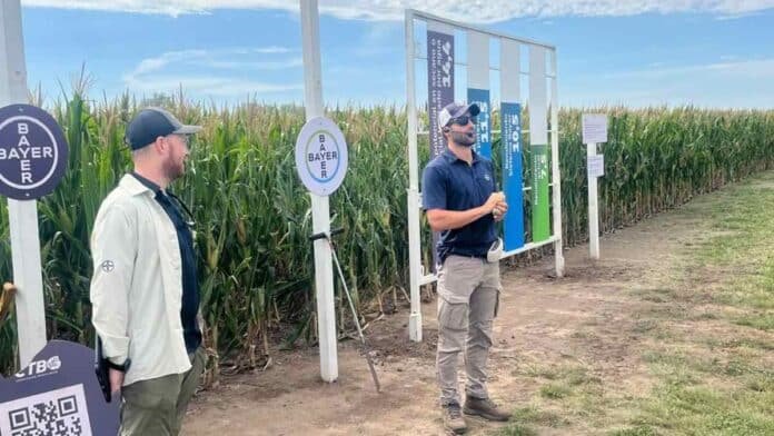 Jornada a campo de Bayer en Pergamino con técnicos explicando ensayos en cultivo de maíz durante un encuentro de innovación agrícola