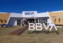 BBVA llevó inteligencia artificial y créditos en dólares al campo en Expoagro 2026 Stand de BBVA Agro en Expoagro 2026 con productores ingresando para conocer créditos en dólares y herramientas con inteligencia artificial para el campo argentino