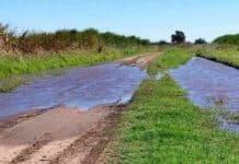 Cayeron hasta 175 mm en horas: caminos colapsados y cosecha en riesgo en Buenos Aires Camino rural inundado en el oeste de Buenos Aires tras lluvias intensas de hasta 175 mm, con anegamientos que complican la cosecha y el tránsito de maquinaria agrícola