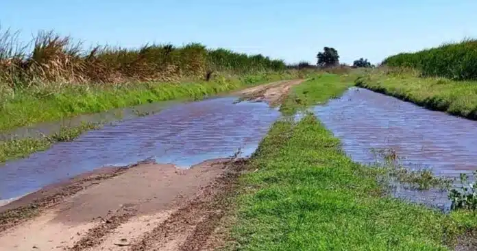 Camino rural inundado en el oeste de Buenos Aires tras lluvias intensas de hasta 175 mm, con anegamientos que complican la cosecha y el tránsito de maquinaria agrícola