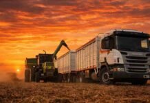 El gasoil sube hasta 25% y el transporte advierte: peligra el abastecimiento y suben las tarifas Camión cargando soja en campo argentino al atardecer con cielo naranja intenso, en contexto de suba del gasoil y costos de transporte
