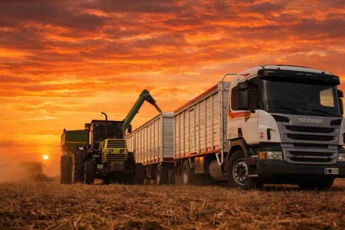 camion-cosecha-soja-atardecer-gasoil-costos-ruralnet Camión cargando soja en campo argentino al atardecer con cielo naranja intenso, en contexto de suba del gasoil y costos de transporte