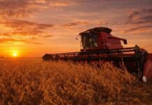 La campaña gruesa 2025/26 se pone en marcha con señales opuestas entre soja y maíz