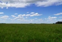 El agro pone fecha: el 20 de mayo llega FERTILIDAD 2026 con foco en producir más con menos agua