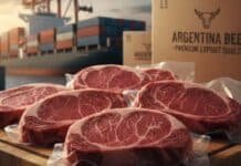 Japón habilita carne argentina con vacunación y abre un mercado de US$ 3.100 millones y 500.000 toneladas