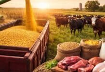 La cosecha se recorta pero el agro aún proyecta US$34.000 millones en exportaciones en 2026