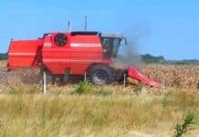 La cosecha de maíz avanza al 9,4% y deja rindes de hasta 96 qq/ha en la zona núcleo