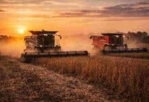 Milei impulsa UPOV 91 para “duplicar” granos a 300 millones de toneladas y el campo advierte por el uso propio