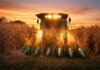 Maíz en Entre Ríos: la producción de primera superaría los 3,4 millones de toneladas Cosechadora trabajando en un lote de maíz al atardecer en el campo argentino con cielo naranja y luz cálida